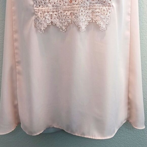 Zac & Rachel Women Light Pink Lace And Sheer Sleeveless Blouse sz L Boho Chic - Picture 4 of 8